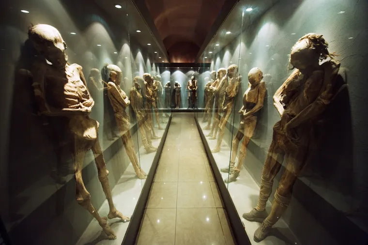 Image de Le Musée des Momies